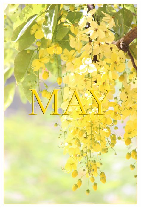 Words For Sympathy Card, Welcome March, Seasonal Wallpaper, New Month Wishes, New Month Quotes, Month Quotes, Life Quotes Wallpaper, All The Months, Dream Ideas