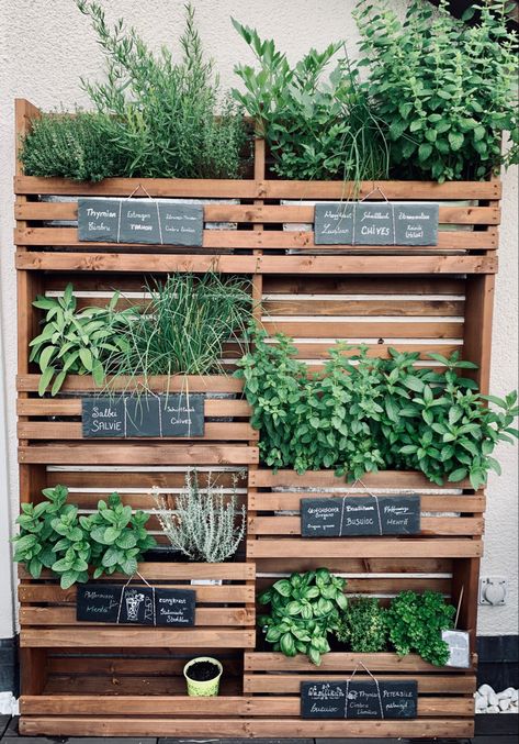 Herbs Balcony Ideas, Herb Garden Wall Outdoor, Herb Garden Wall, Spice Garden, Herb Wall, Herbs Garden, Vertical Herb Garden, Magic Herbs, Growing Herbs