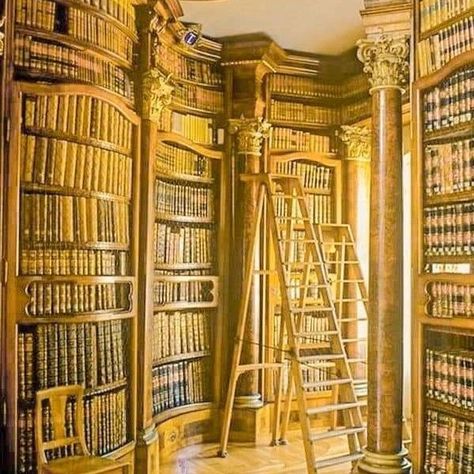 💛🌻 Yellow Library Aesthetic 💛🌻 #library #yellowlibrary Deep Yellow Aesthetic, Yellow Library, Yellow Study, Golden Library, Gold Library, Aesthetic Library, Books And Tea, Books 2024, Library Aesthetic