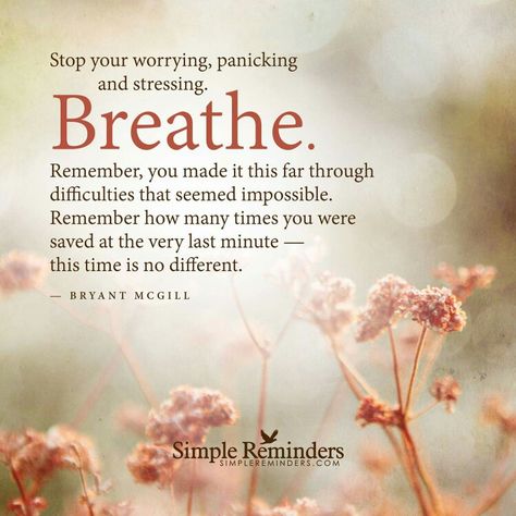 Stop worrying and breathe. Simple Reminders Quotes, Simple Reminders, Inspirational Thoughts, E Card, Reminder Quotes, A Quote, Good Advice, Note To Self, No Me Importa