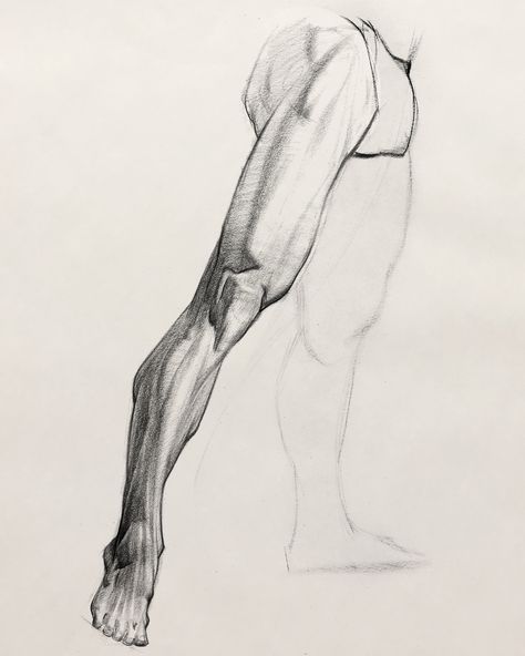 I’m stuffing the stockings this year with a leg assignment demo. I’ll show you how I establish the gesture, check proportions, get the anatomical details and shade the entire drawing - proko.com/12days  #drawing #legs #sketching Lower Leg Anatomy, Leg Anatomy, Drawing Details, Shading Drawing, Drawing Legs, Human Anatomy Drawing, Body Sketches, Human Anatomy Art, Anatomy Sketches