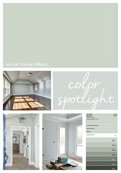 Salt Paint, Sherwin Williams Sea Salt, Color Spotlight, Most Popular Paint Colors, Sea Salt Sherwin Williams, Popular Paint Colors, Bathroom Paint, Sherwin Williams Colors, Flower Colors