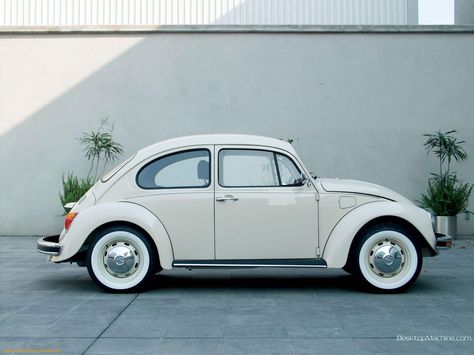 Volkswagen Beetle 1600 ::D !!!! Vw T3 Doka, Vw Sedan, Vw Classic, Volkswagen Bug, Porsche Classic, Vintage Volkswagen, Ferdinand Porsche, Vw Vintage, Vw Porsche