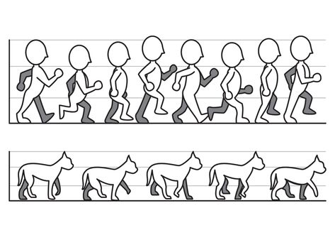 Walk Cycle Animation Reference, Walk Cycle Reference, Animation Walking, Animation Walk Cycle, Digital Animation, Walking Animation, 2d Character Animation, Animation References, Walk Cycle