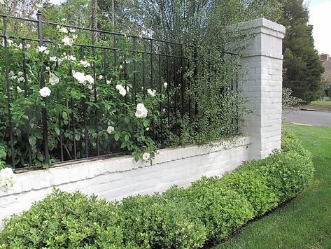 Brick Wall Exterior, Wall Designs Ideas, Architecture Studio Design, Beautiful Fences, Estilo Charleston, Brick Wall Gardens, Fences Ideas, Brick Fence, Brick Garden