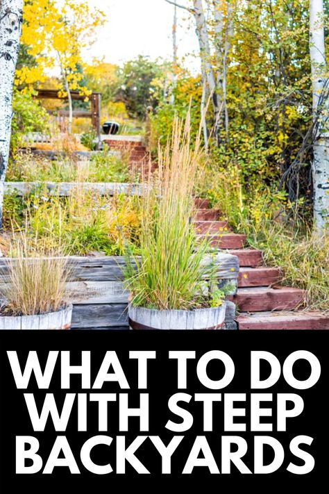 Terraced Yard Ideas Small Backyards, Steep Bank Garden Design, Hill Backyard Landscaping, Hillside Yard Ideas, Sloped Front Yard Landscaping With Rocks, Steep Backyard Ideas Sloped Yard, Steep Hill Backyard Ideas, Steep Gardens Ideas, Backyard Steep Hill Ideas