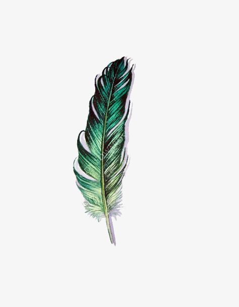 Feather Watercolor, Feather Illustration, Green Feathers, Feather Drawing, Owl Feather, Feather Tattoo Design, Green Feather, Owl Tattoo Design, Watercolor Feather