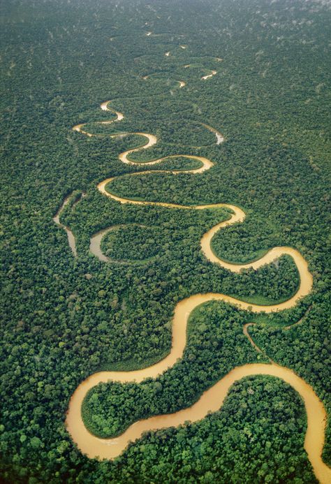 Ríos del mundo - Las sinuosas curvas del ri?o Tambopata, en la Reserva Natural de Tambopata-Candamo, Perú | Galería de fotos 33 de 50 | Traveler Amazon Forest, Amazon River, Amazon Rainforest, Birds Eye View, Birds Eye, Aerial View, Amazing Nature, Nature Pictures, Ecuador