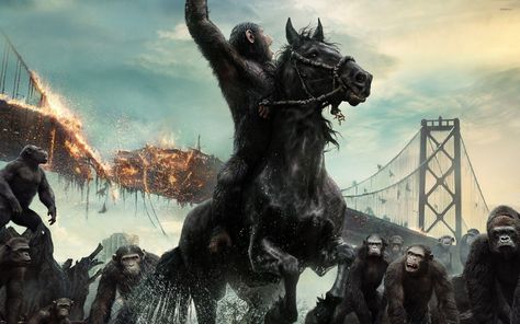 Ape Wallpaper Planet Of The Apes Caesar, Caesar Planet Of The Apes, 2880x1800 Wallpaper, Plant Of The Apes, Planet Of Apes, Dawn Of The Planet, Finn Wittrock, Andy Serkis, Gorilla Tattoo