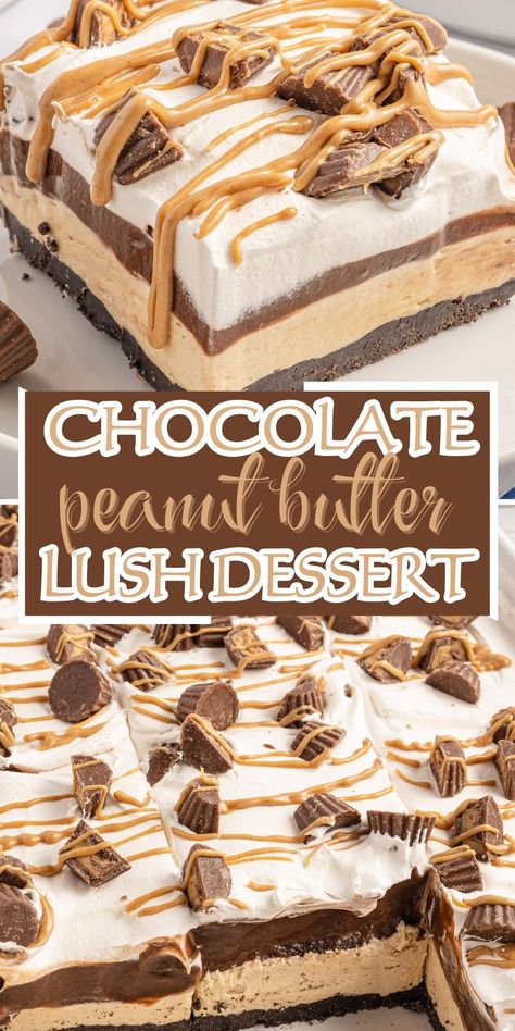 Peanut Butter Pie Birthday Cake, Peanut Butter Cup Dessert Recipes, Cookie Layer Dessert, Easy Desserts With Chocolate Pudding, Peanut Butter Mousse Brownies, No Bake Chocolate Peanut Butter Oreo Dessert, 5 Layer Delight Dessert, Peanut Butter Oreo Lush, Chocolate Peanut Butter Pudding Dessert