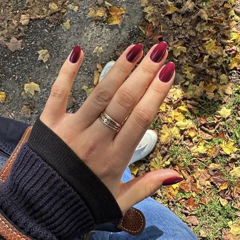 🍒☕️ Cherry Mocha @dndgel seems to be one of the top shades for fall ‘23… and I can see why 🤩 Have you tried this color yet?? I really think it looks great on every skin tone! I did 2 coats on the short round shape 💅 Grab your solid color set for just $45 or 3 for $110 on the website. XOXO Chloe 🤎 #cherrymochanails #rednails #fallnailsdesign #fallnails #fallnailart #trendynails #pressonnailsforsale #pressonnailset Fall Nail Art, Autumn Nails, Fall Nail Designs, Nail Artist, Color Set, Red Nails, Mocha, Trendy Nails, Press On Nails