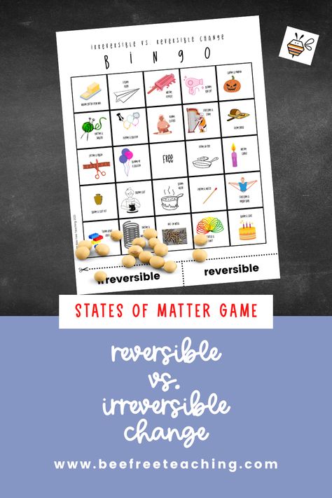 Second Grade States of Matter Lesson! Teach your students about reversible and irreversible changes using a game. Matter Lessons, Changes In Matter, Matter Activities, Science Games, Bee Free, Physical Change, States Of Matter, Second Grade Teacher, Second Grade