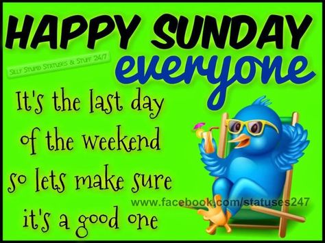 Happy Sunday Everyone Sunday Funday Quotes, Good Morning Sunday Pictures, Funny Sunday, Blessed Sunday Morning, Sunday Humor, Good Morning Sunday, Sunday Morning Quotes, Sunday Quotes Funny, Sunday Pictures