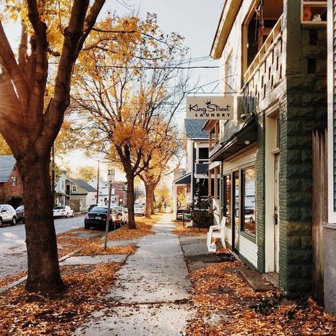 Samhain Evening Post Aesthetic Town, Autumn Tumblr, Burlington Vermont, Paint Colors For Living Room, Best Seasons, Autumn Cozy, Autumn Aesthetic, Autumn Trees, Autumn Inspiration