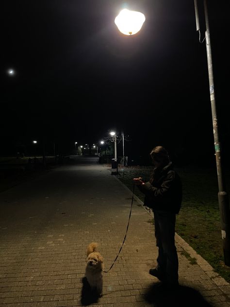 Walk | dog | animal | night | late night | dark | park | sky | stars | maltipoo | girl | aesthetic | vibe Dog Night Aesthetic, Walk With Dog Aesthetic, Dog Aesthetic Dark, Dr Items, Night Dog Walking, Night Walking Aesthetic, Night Park, 2024 Diary, Fall Baddie