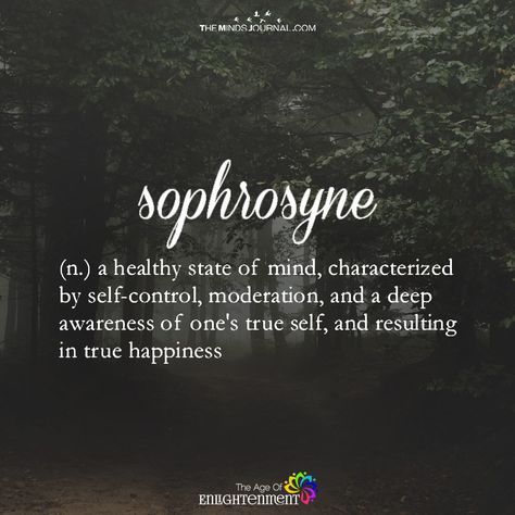 Sophrosyne - https://themindsjournal.com/sophrosyne/ Unique Words Definitions, Uncommon Words, Motivation Positive, Fancy Words, Weird Words, Unusual Words, Rare Words, Word Definitions, Unique Words