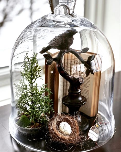 Curio Cabinet Decor Ideas Display, Wire Cloche Decor Ideas, Fall Cloche Ideas, Naturalist Aesthetic, Vintage Spring Aesthetic, Vintage Spring Wedding, Glass Cloche Decor, Vintage Spring Decor, Cloche Display