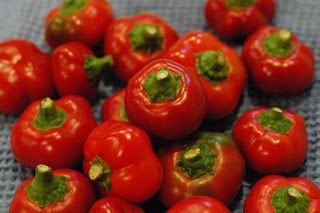 My Lids are Sealed: Cherry Pepper Relish a.k.a. Lenny's Hot Pepper Relish Marinated Cherry Peppers, Red Hot Cherry Pepper Recipes, Cherry Pepper Relish Recipe, Cherry Pepper Relish, Cherry Pepper Recipes, Cherry Bomb Pepper, How To Pickle Peppers, Hot Pepper Relish, Canning Peppers