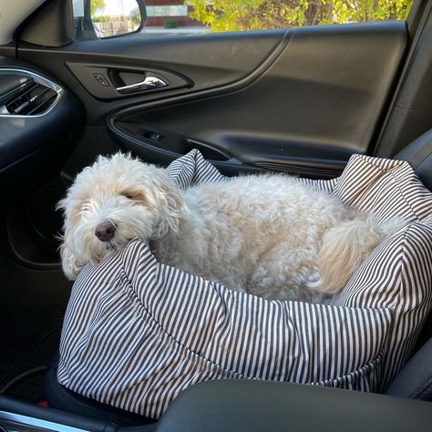 Dog Necessities, Car Dog Bed, Brown Car, Cute Dog Beds, Dog Car Seat, Cozy Dog, Car Bed, Dog Car Seats, Pet Car