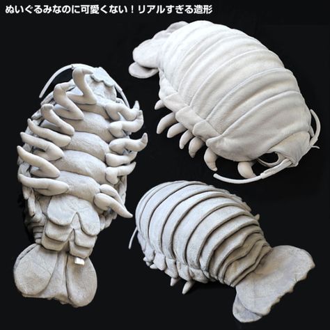 Giant Isopod Plush. I cant decide if these are adorable or creepy. Giant Isopod, Giant Plush, Old Teddy Bears, Toy Toy, Deep Sea Creatures, Cute Stuffed Animals, Plush Dolls, Sea Creatures, Animal Plush Toys