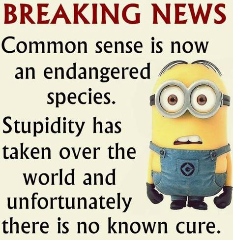 ;)) Minion Memes Hilarious, Minion Humor, September Quotes, Funny Minion Pictures, Funny Minion Memes, Minion Jokes, Smen, Funny Animal Quotes, Minion Quotes