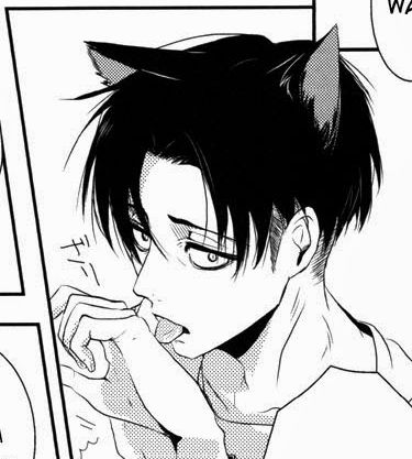 LEVI CAT! Ereri doujin Levi Cat, Eren X Mikasa, Captain Levi, Cat Boy, Cat Boys, Cat Icon, Attack On Titan Levi, Let Me Go, Eren Jaeger