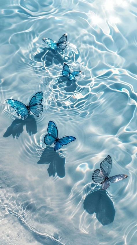 Free download of high-quality iPhone wallpapers dreamy beauty of nature – Bujo Art Shop August Wallpaper, Underwater Wallpaper, Helloween Wallpaper, ليلو وستيتش, Blue Butterfly Wallpaper, Cute Summer Wallpapers, Cute Blue Wallpaper, Butterfly Wallpaper Backgrounds, Pretty Phone Wallpaper