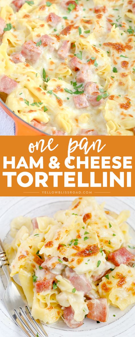 Easy Meal For 8 People, Meals With Limited Ingredients, Tortellini Noodles Recipes, Ham And Cheese Tortellini Recipes, Tri Color Cheese Tortellini Recipes, Easy Tortellini Dinner Recipes, Ham Tortellini Recipes, Ham Chunks Recipes Dinners, Ham And Tortellini Recipes