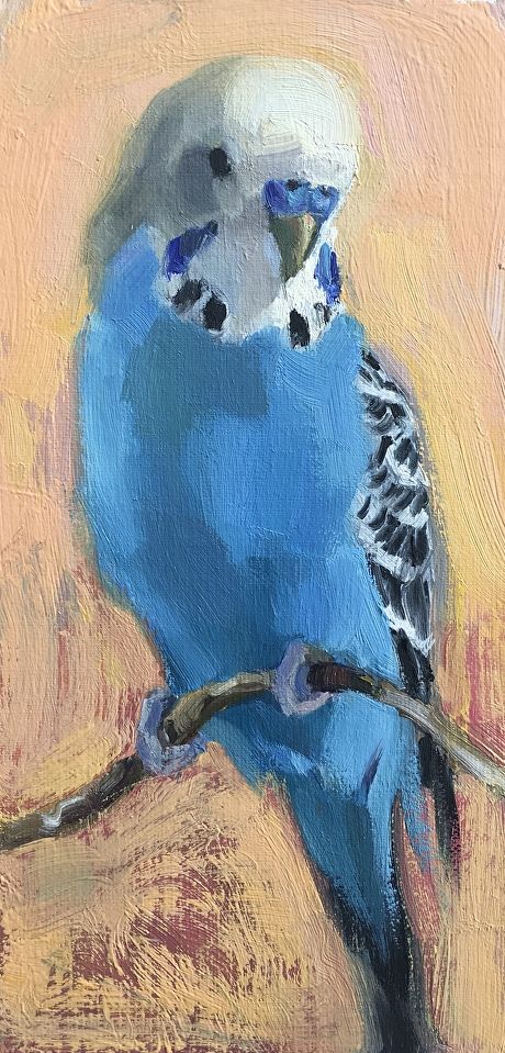 Katya Minkina, Painting Ideas Easy Simple, Parrots Art, Afrique Art, Painting Ideas Easy, Art And Painting, Arte Animal, Bird Drawings, Art Painting Acrylic