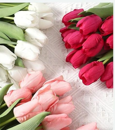 "Our Artificial Real Touch Tulip Flower with Stem is a versatile and stunning decorative option for weddings, office, home, parties, and hotels. Made from high-quality materials, these tulip flowers feature realistic textures and vibrant colors that will bring beauty and elegance to any space. The flowers are designed to look and feel just like the real thing, thanks to the Real Touch technology used in their creation. The soft, velvety texture of the petals and bendable  stem make these flowers Tulip Colors, Home Parties, Silk Floral Arrangements, Tulip Flower, Colourful Balloons, Office Hotel, Pretty Plants, Baby Shower Cards, Tulips Flowers