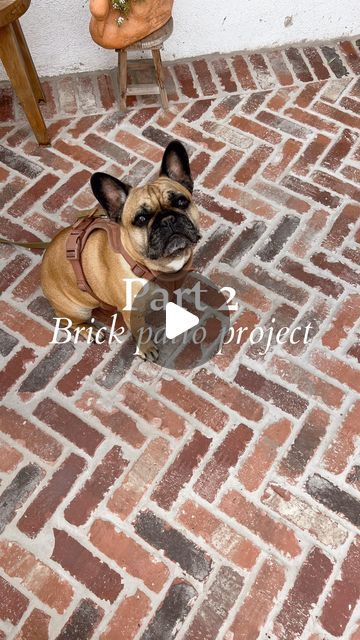 Cyn Stiller on Instagram: "Part 2 brick porch patio project!! Let me know if you have any questions.  And these beautiful bricks are by @oldmillbp I am using the color Bridgewater and there is a link in my bio for 10% off!" Brick Porch, House Redo, Patio Projects, Exterior House, Porch Patio, Let Me Know, Outdoor Space, House Exterior, Porch