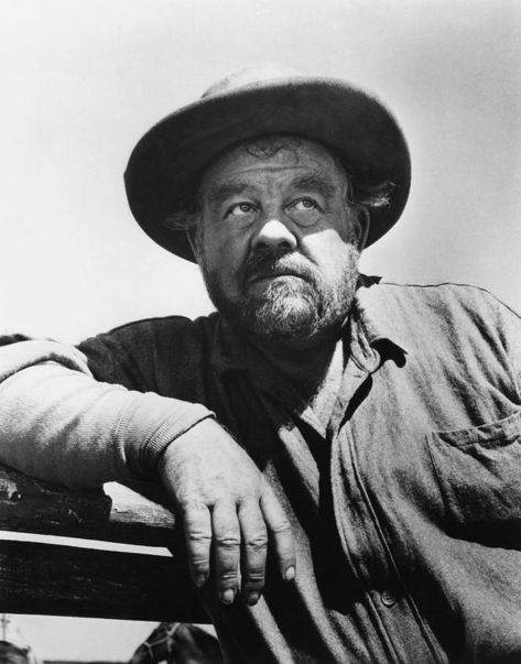 Burl Ives - Rotten Tomatoes Burl Ives, Rotten Tomatoes, Big Country, Best Supporting Actor, Golden Globe Award, Abstract Portrait, Favorite Character, Historical Figures, Actors