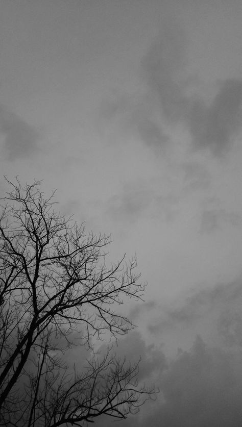 Rainy Aesthetics, Rainy Sky, Dry Tree, Monochrome Painting, Gothic Wallpaper, Sky Photography Nature, Iphone Lockscreen Wallpaper, Shadow Photography, Flowers Photography Wallpaper