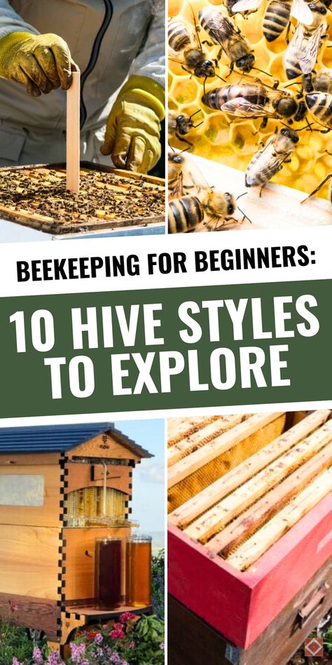 Beekeeping for beginners is easier with the right hive! Here are 10 hive styles to explore, from traditional setups to modern, low-maintenance designs like the flow hive. Save this pin to discover hives that are perfect for new beekeepers and help your bees thrive. Flow Bee Hive, Bee Keeping For Beginners, Bee Skep House, How To Start Beekeeping, Top Bar Bee Hive, Bee Hives Diy, Langstroth Hive, Harvesting Honey, Flow Hive