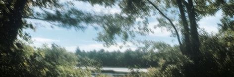 Nature Discord Banner, Forest Header, Nature Header, Poem Background, Forest Banner, Head Twitter, Nature Banner, Banners Discord, Green Banner