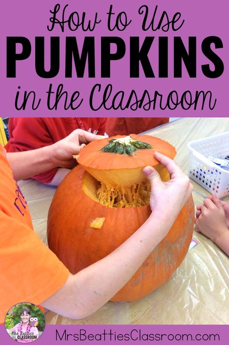 Pumpkin Classroom Activities, Pumpkin Activities Kindergarten, Pumpkin Lesson Plans, Pumpkin Activities Preschool, Pumpkin Math Activities, Classroom Holiday Crafts, Pumpkin Investigation, Pumpkin Centers, Pumpkin Lessons