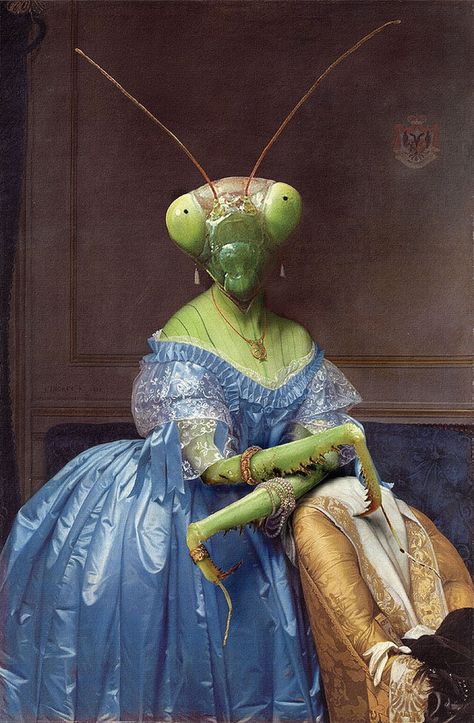 Insectophobia – Fear of insects. Artist: Ivo van der Ent Country: Netherlands Peter Paul Rubens, Praying Mantis, Insect Art, Animal Heads, Weird Art, Cool Stuff, Art Journals, Surreal Art, Metropolitan Museum