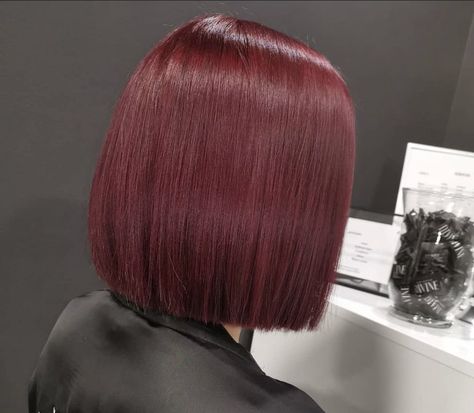 Cherry Red Bob Hair, Short Hair Cherry Red, Cherry Cola Hair Color Short, Burgundy Hair Bob, Cherry Red Hair Short, Burgundy Hair Short, Cherry Red Bob, Short Cherry Red Hair, Red Hair Long Bob