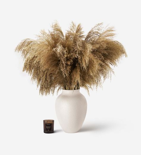 Pampas Grass Pink Pampas Grass, Pampas Grass Bouquet, Dried Pampas, Picnic Decorations, Grass Decor, Pampas Grass Decor, Coffee Table Decor, Dry Plants, Same Day Flower Delivery