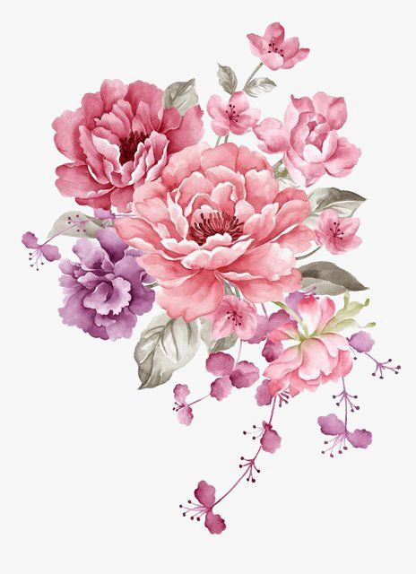 Material Flowers, Pink Watercolor Flower, 수채화 그림, Trendy Flowers, Arte Floral, Pink Watercolor, Flower Tattoos, Botanical Art, Flower Drawing