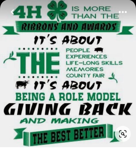 4-h Poster Ideas, 4h Fair, Livestock Quotes, 4 H Clover, 4 H Club, Hand Health, Showing Livestock, Make Your Own Clothes, Fair Projects