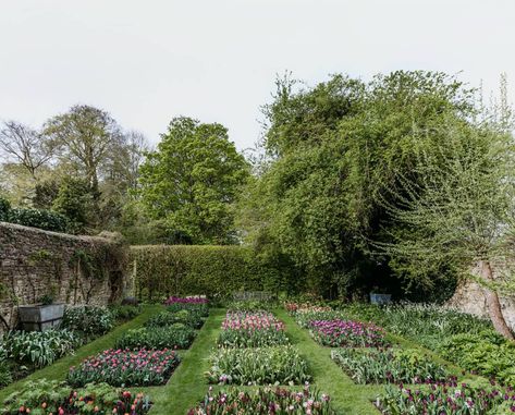 Have a Beautiful Weekend. | A Cup of Jo Wild Flower Garden, Have A Beautiful Weekend, Hornbeam Hedge, Garden Magazine, Beautiful Weekend, English Cottage Garden, London House, Pink And White Flowers, Chelsea Flower