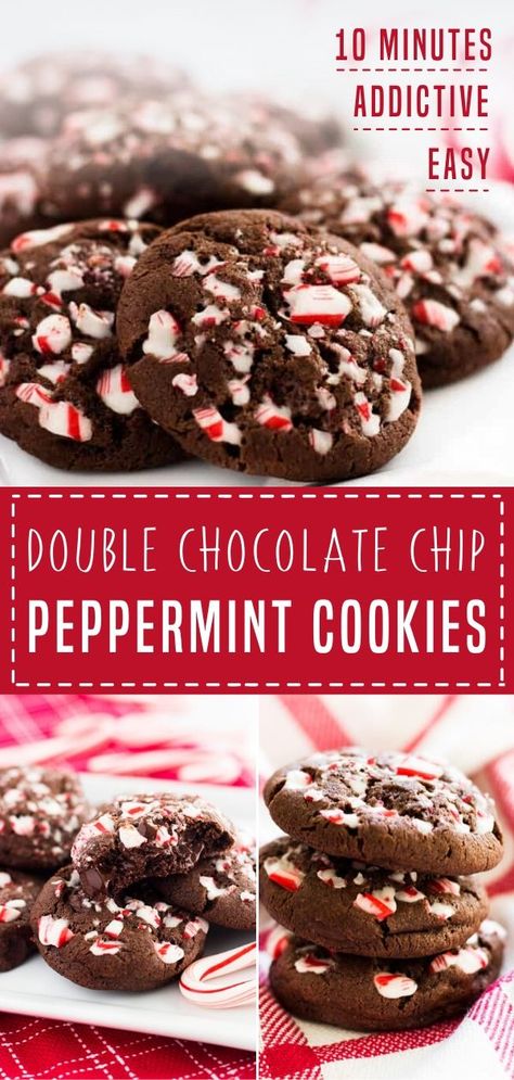 Peppermint Cocoa Cookies, Hot Coco Cookies Recipes, Crushed Peppermint Cookies, Hot Chocolate Peppermint Cookies, Peppermint Hot Chocolate Cookies, Christmas Peppermint Cookies, Peppermint Cookies Christmas, Long Cookies, Chocolate Cookies With Peppermint