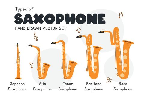 Types of saxophone clipart cartoon style. Simple cute soprano, alto, tenor, baritone, bass saxophone types flat vector illustration. Brass musical instrument hand drawn doodle. Saxophone vector set Saxophone Reference, Saxophone Sketch, Saxophone Illustration, Baritone Saxophone Drawing, Cartoon Saxophone, Saxophone Line Art, Bass Saxophone, Saxophone Sticker, Brass Musical Instruments