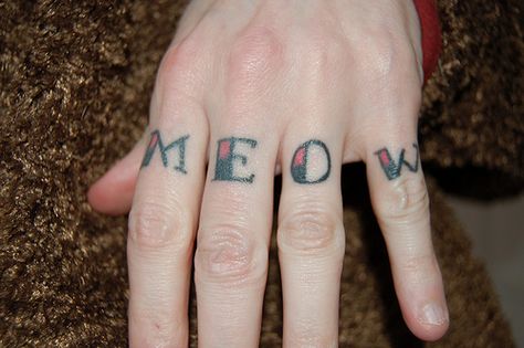 Meow knuckle tattoo Word Knuckle Tattoos, Love Knuckle Tattoo, Knuckle Tattoos Words, Brass Knuckle Tattoo, Knuckles Tattoo, Knuckle Tattoo, Devotional Images, Monami Frost, Knuckle Tattoos