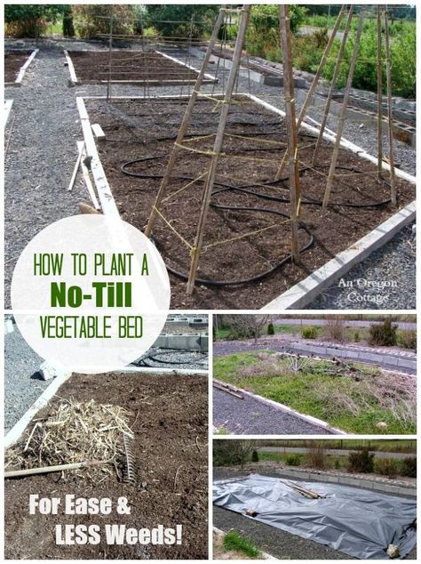 How to Plant a No-Till Vegetable Bed for Ease and Less Weeds! http://anoregoncottage.com/planting-garden-bed-no-till-way/ Planting A Garden, Dubai Garden, Dig Gardens, Vegetable Bed, Organic Vegetable Garden, Sustainable Garden, Organic Gardening Tips, Hydroponic Gardening, Beautiful Flowers Garden