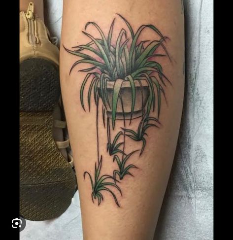 Spider Plant Tattoo, Plant Tattoo Ideas, Wonder Tattoo, Tattoo Spider, Plants Tattoo, Succulent Tattoo, American Traditional Tattoo Ideas, Plant Sketches, Traditional Tattoo Ideas