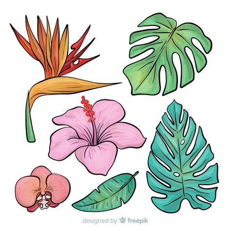 Hand drawn tropical flowers and leaves Free Vector Tropical Flower Mural, How To Draw Tropical Flowers, Tropical Drawing Ideas, Draw Tropical Flowers, Tropical Flower Illustration, Tropical Plants Drawing, Tropical Flowers Drawing, Tropical Leaves Drawing, Tropical Doodles