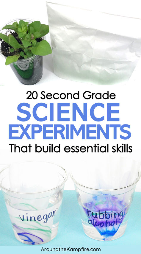 Cups being used for a solubility science experiment for second graders. Science Experiment 2nd Grade, Class Science Experiments, Changes In Matter Experiments, Science Anchor Charts 2nd Grade, 2nd Grade Science Activities, Matter Experiments 2nd Grade, Steam Lessons Elementary, 2nd Grade Stem Activities, 2nd Grade Science Lessons