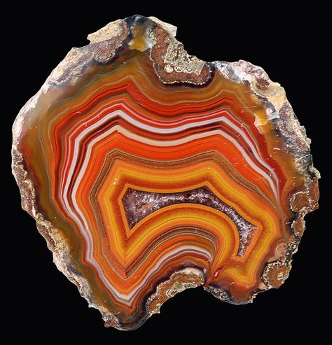 River Crossing Condor Agate | 2x1.75" | Ira Bradford | Flickr Coyamito Agate, Horned Lizard, Crystal Specimens, Crystal Castle, Orange Agate, Raw Minerals, Pretty Rocks, Beautiful Stones, Beautiful Rocks